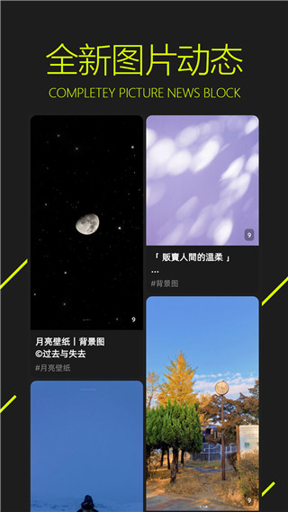 图凌壁纸app官方版下载 第2张图片