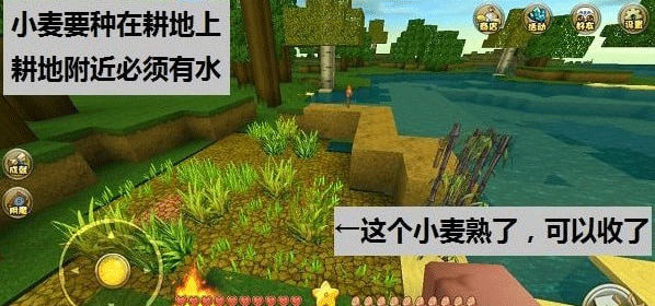 迷你世界测试版本新手指南6