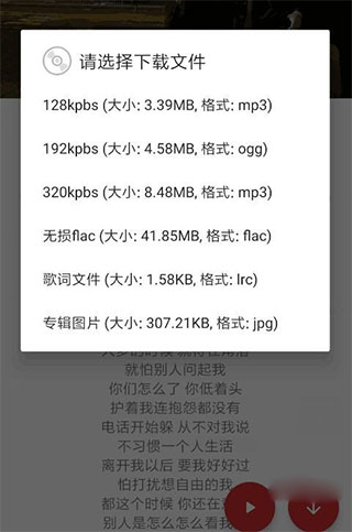 QMD官方版2023使用教程3