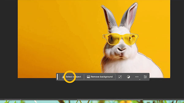 Photoshop2024最新功能介绍18