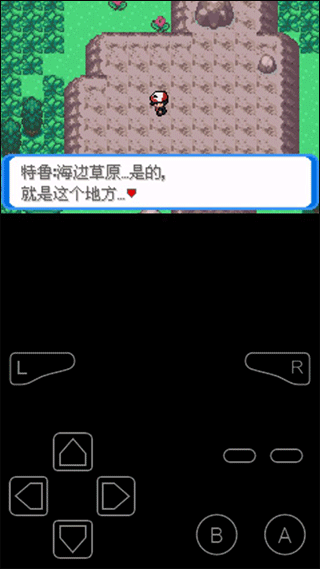 口袋妖怪决心一周目教程图文1
