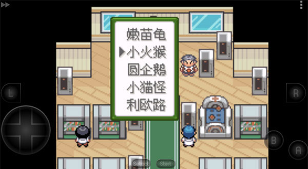 口袋妖怪釉色汉化版新手教程介绍6