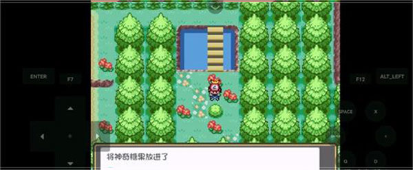 口袋妖怪怪燃之智汉化版玩法攻略2