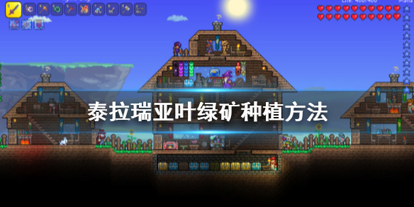 泰拉瑞亚叶绿矿怎么种植1