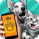 动物翻译器免费下载正版(Pet Translator) v1.1 安卓版