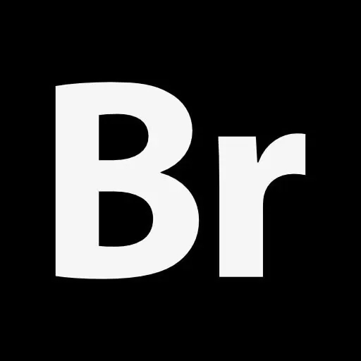 Adobe Bridge 2024破解免费版 v14.0.0.12 免安装绿色版