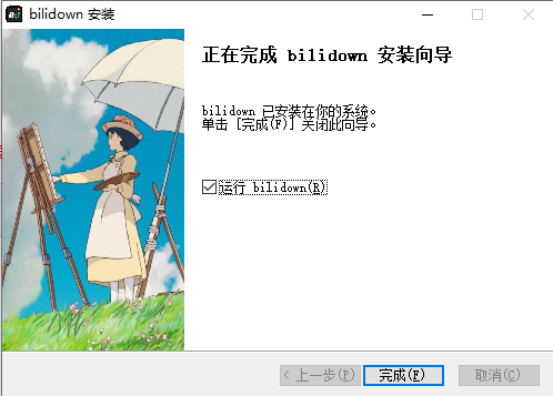 BiliDown安装步骤4