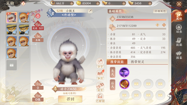 飞龙战天变强攻略3