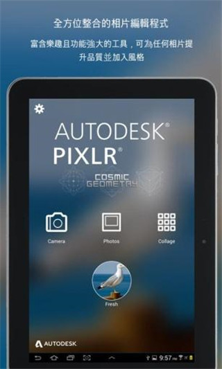 pixlr express中文版下载 第1张图片