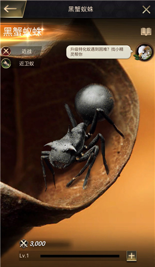 小小蚁国九游版新手攻略8