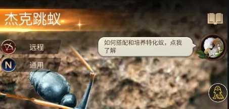 小小蚁国平民最强阵容1