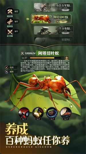 小小蚁国中文手机版特色