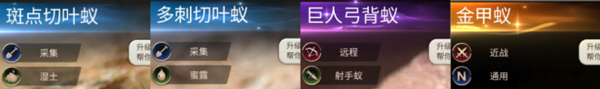 小小蚁国中文手机版新手攻略8