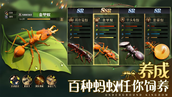 小小蚁国中文手机版新手攻略10
