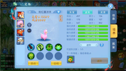 天书奇谈宠物培养推荐5
