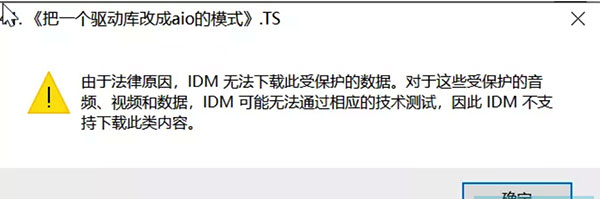 IDM怎么使用教程5