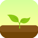 Forest专业版下载