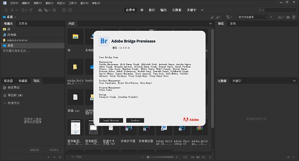 Bridge 2021中文版下载 第1张图片