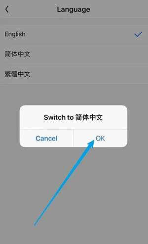 怎么切换中文4